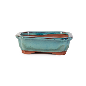 Assorted Glazed Bonsai Pots, 6" -  Green Rectangular, 15.5 x 12 x 5cm - Pots