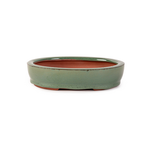 Assorted Glazed Bonsai Pots, 6" -  Green shallow Oval, 15.5 x 12 x 3cm - Pots