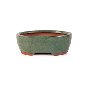 Assorted Glazed Bonsai Pots, 6" -  Green oval 15 x 12 x 5cm - Pots