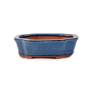 Assorted Glazed Bonsai Pots, 6" -  Blue Decorative Rectangular, 16 x 12 x 5cm - Pots