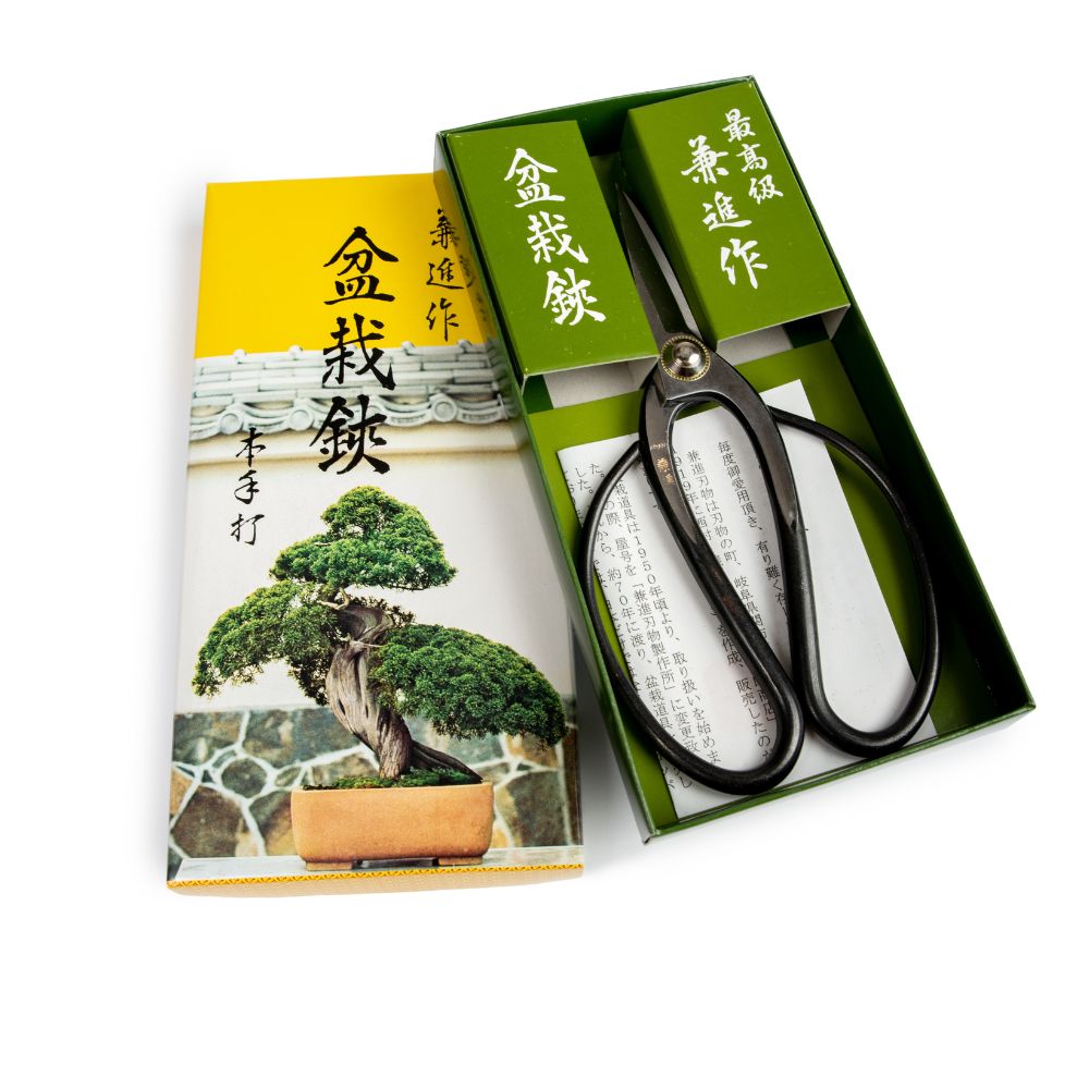 Kaneshin
