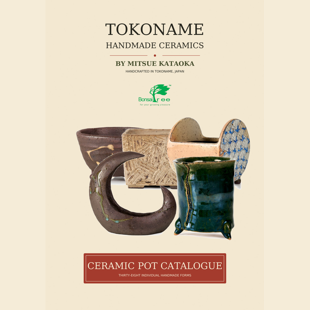 Mitsue Kataoka Catalog by Bonsai Tree (Pty) Ltd.