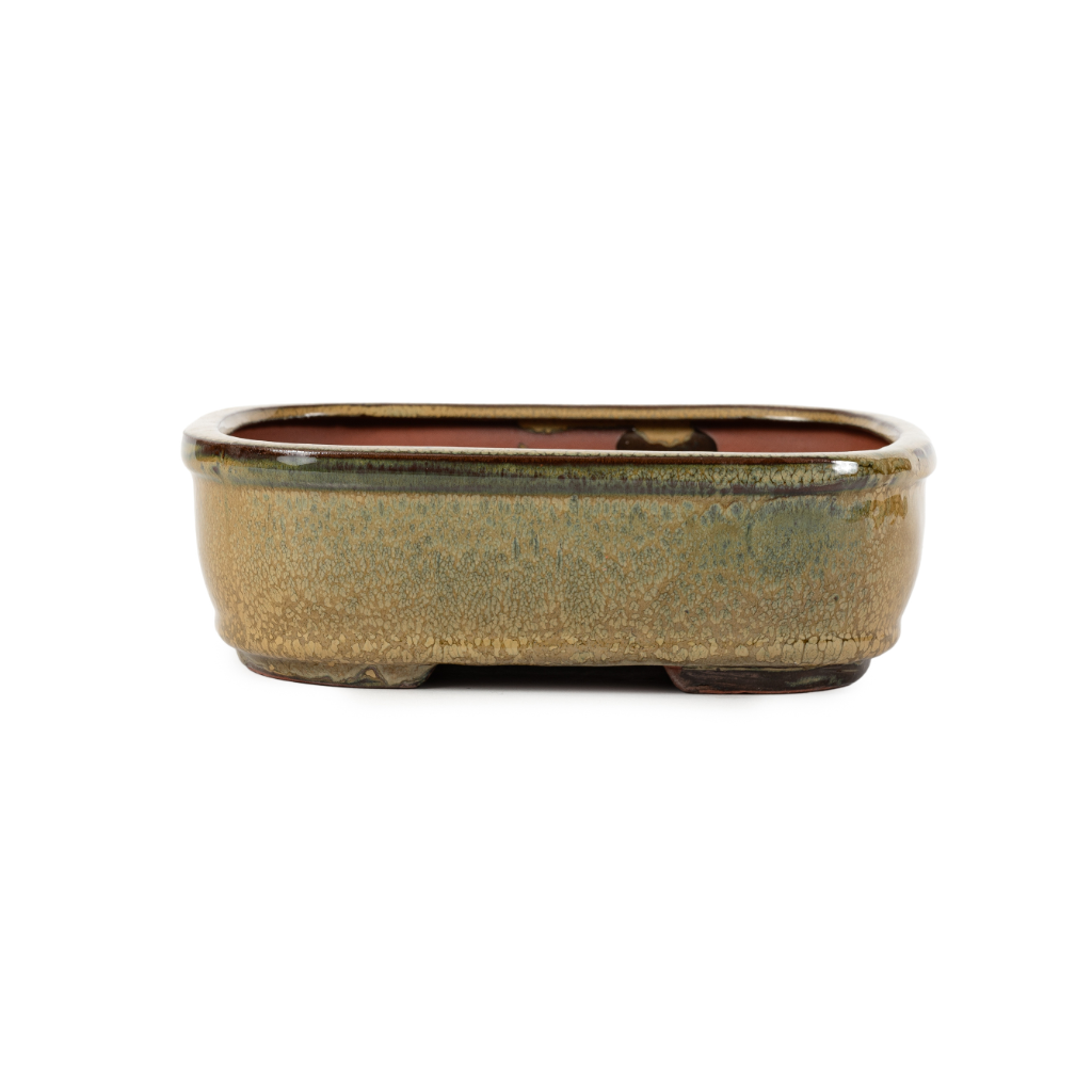 Assorted Glazed Bonsai Pots, 12"