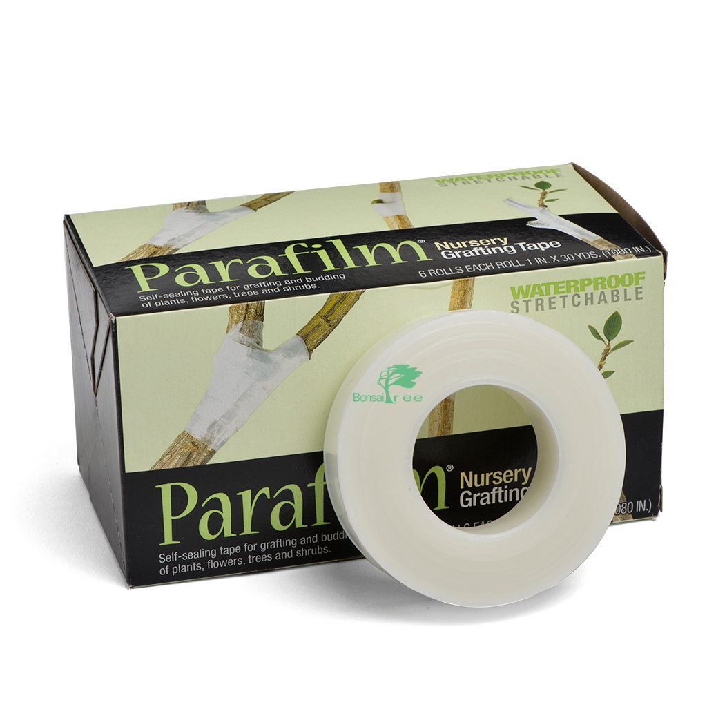 Parafilm Grafting Tape, 25mm x 27m -  Full box of SIX rolls, 6Pc - Plastics