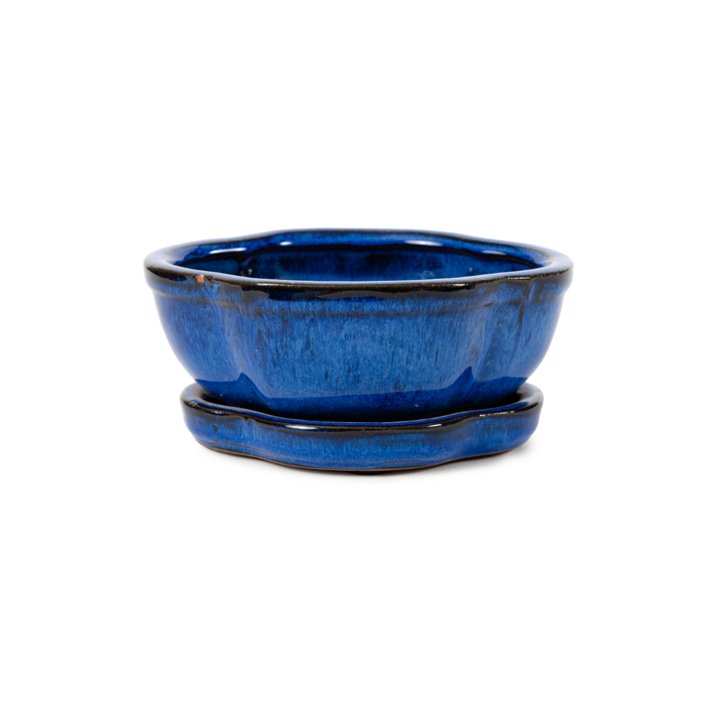 Assorted Glazed Bonsai Pots with Afixed Saucer, 6" - Blue Floriated with afixed saucer, with mesh and wire, 15 x 12 x 7cm - Pots