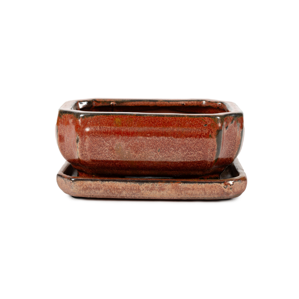 Assorted Glazed Bonsai Pots with Afixed Saucer, 6" - Maroon Rectangular with afixed saucer, with mesh and wire, 15 x 11 x 7cm - Pots