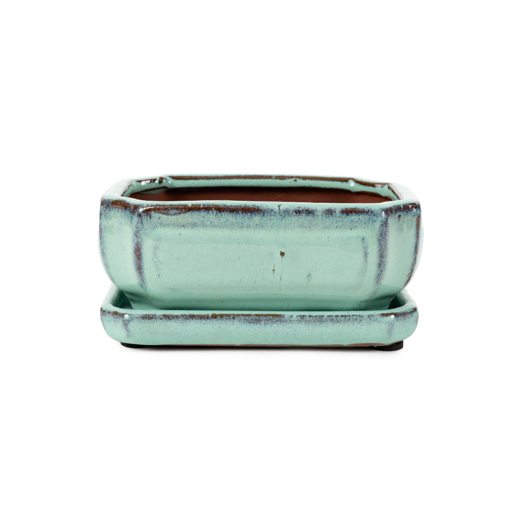 Assorted Glazed Bonsai Pots with Afixed Saucer, 6" - Winter-Green Rectangular with afixed saucer, with mesh and wire, 15 x 11 x 7cm - Pots