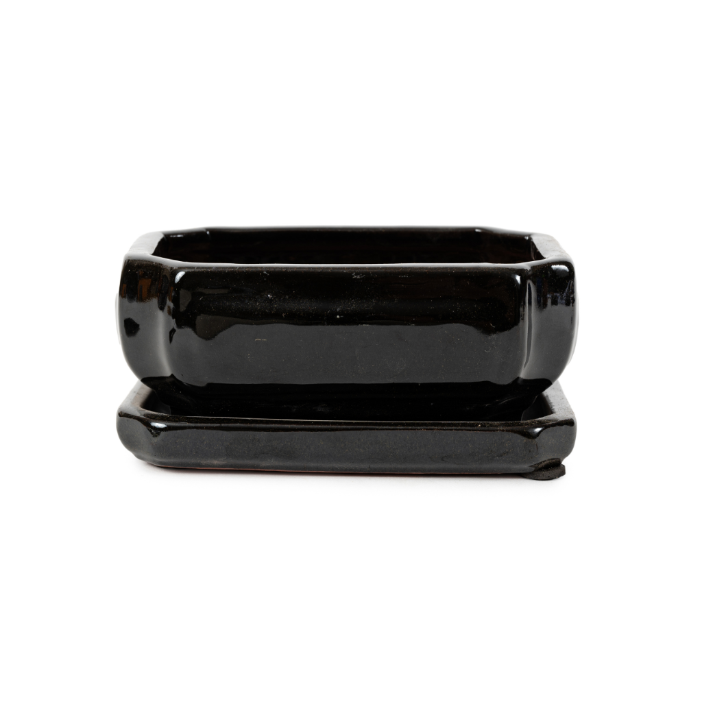 Assorted Glazed Bonsai Pots with Afixed Saucer, 6" - Black Rectangular with afixed saucer, with mesh and wire, 15 x 11 x 7cm - Pots
