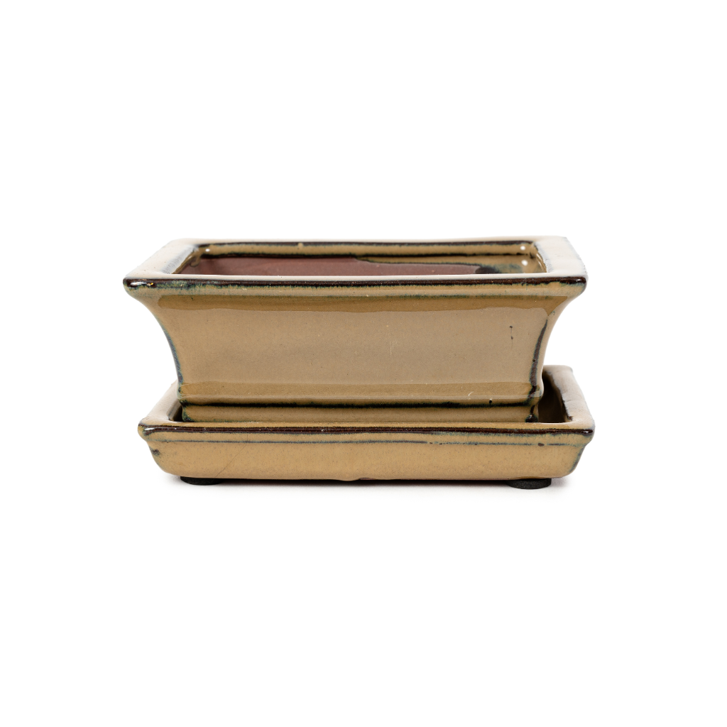 Assorted Glazed Bonsai Pots with Afixed Saucer, 6" by Pecenppot