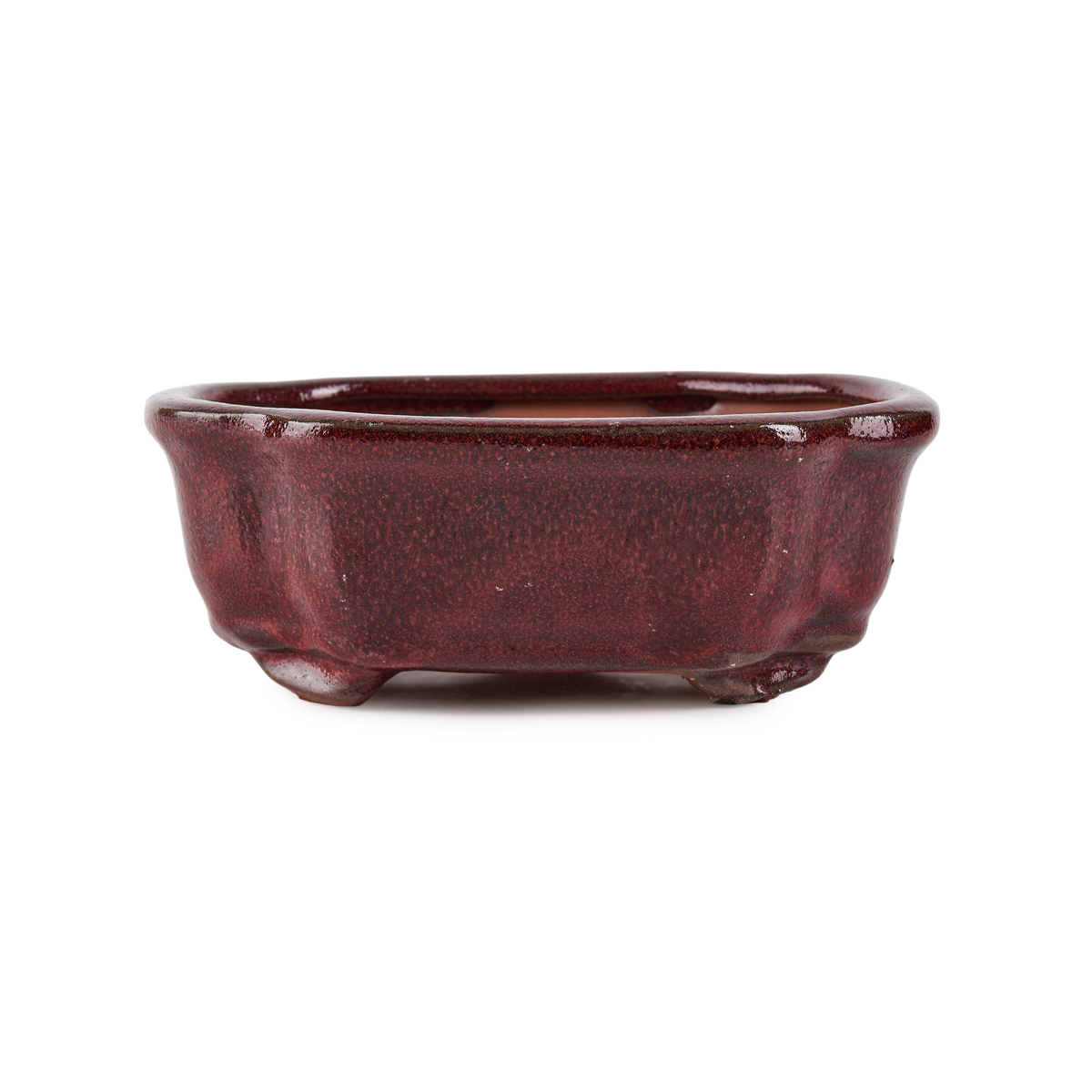 Assorted Glazed Bonsai Pots, 6"