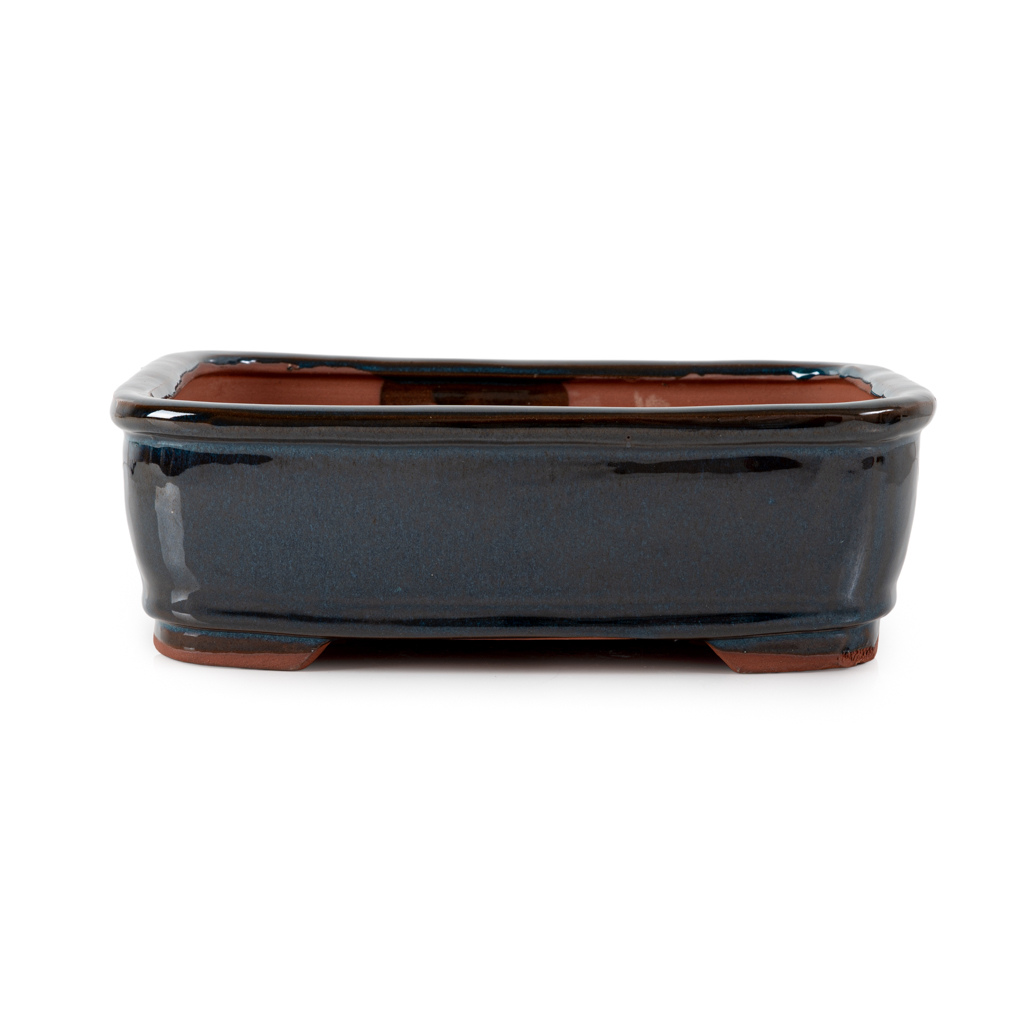 Assorted Glazed Bonsai Pots, 12" by Pecenppot