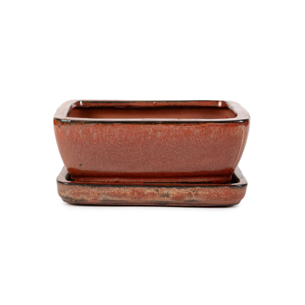 Assorted Glazed Bonsai Pots with Afixed Saucer, 6" - Maroon Rectangular with afixed saucer, with mesh and wire, 15 x 12 x 7cm - Pots