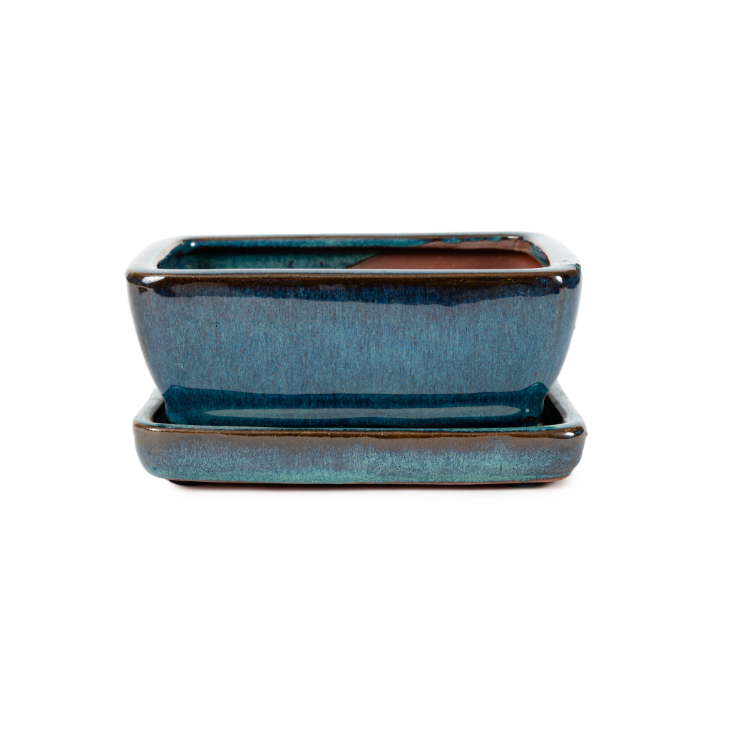 Assorted Glazed Bonsai Pots with Afixed Saucer, 6" - Eagle Green Rectangular with afixed saucer, with mesh and wire, 15 x 11 x 7cm - Pots