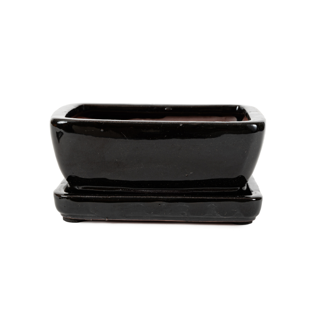 Assorted Glazed Bonsai Pots with Afixed Saucer, 6" - Black Rectangles with afixed saucer, with mesh and wire, 15 x 11 x 7cm - Pots