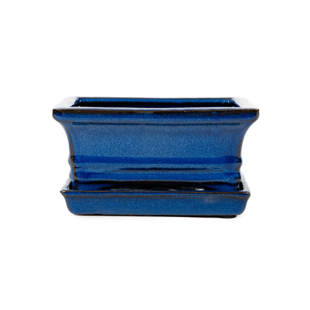 Assorted Glazed Bonsai Pots with Saucer, 6" by Pecenppot