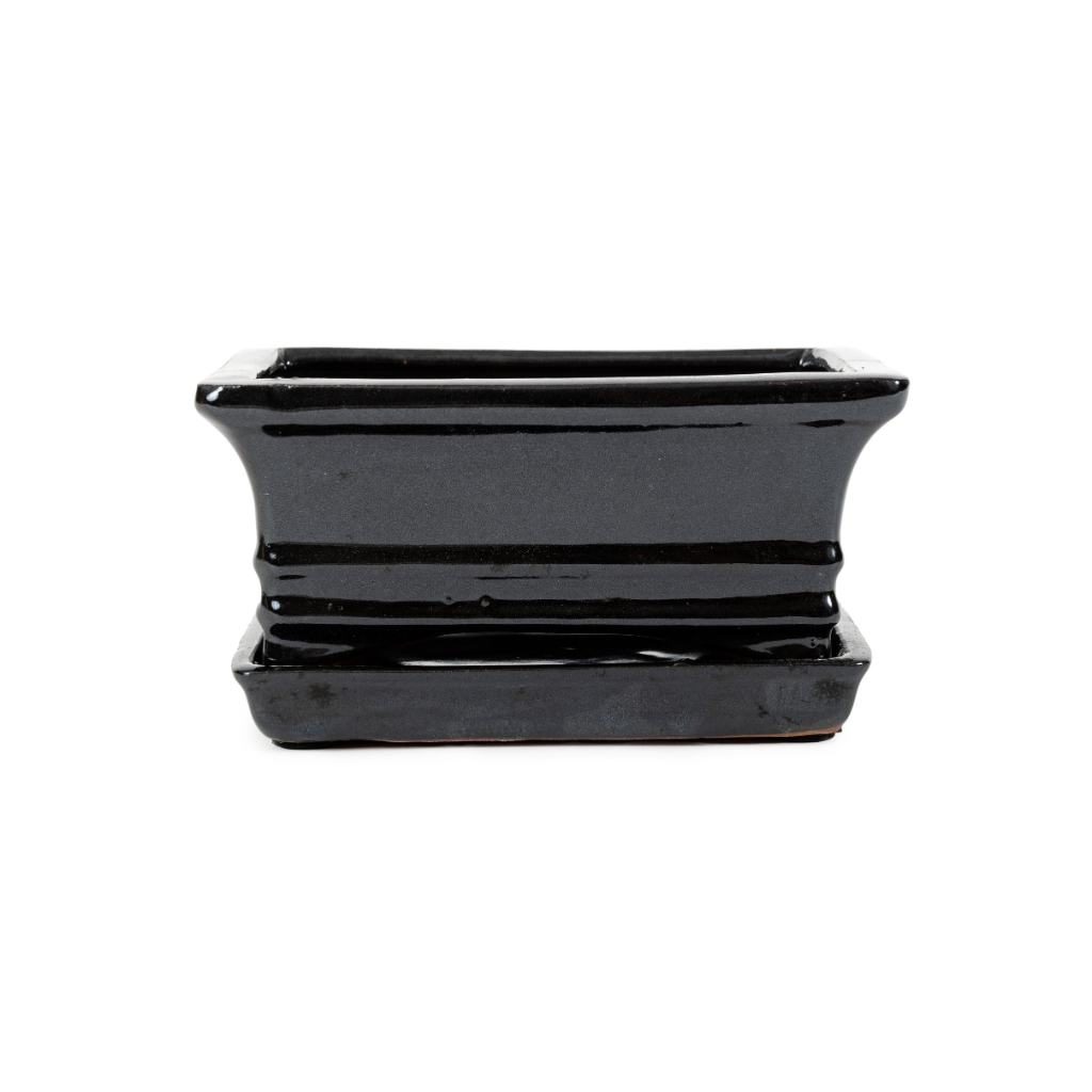 Assorted Glazed Bonsai Pots with Saucer, 6" by Pecenppot