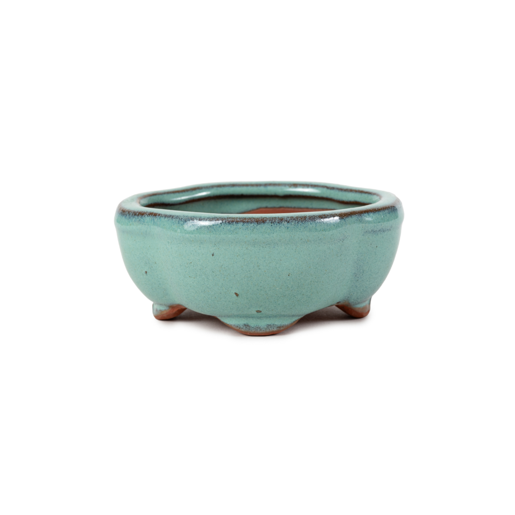 Assorted Glazed Bonsai Pots, 5" - Winter-Green floriated, 13 x 10 x 6cm - Pots