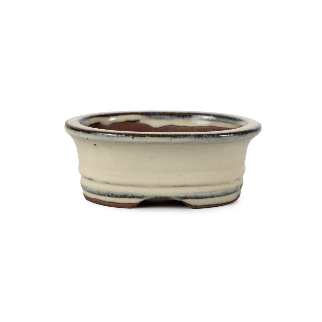 Assorted Glazed Bonsai Pots, 5" - Ivory Oval, 13 x 10 x 5cm - Pots