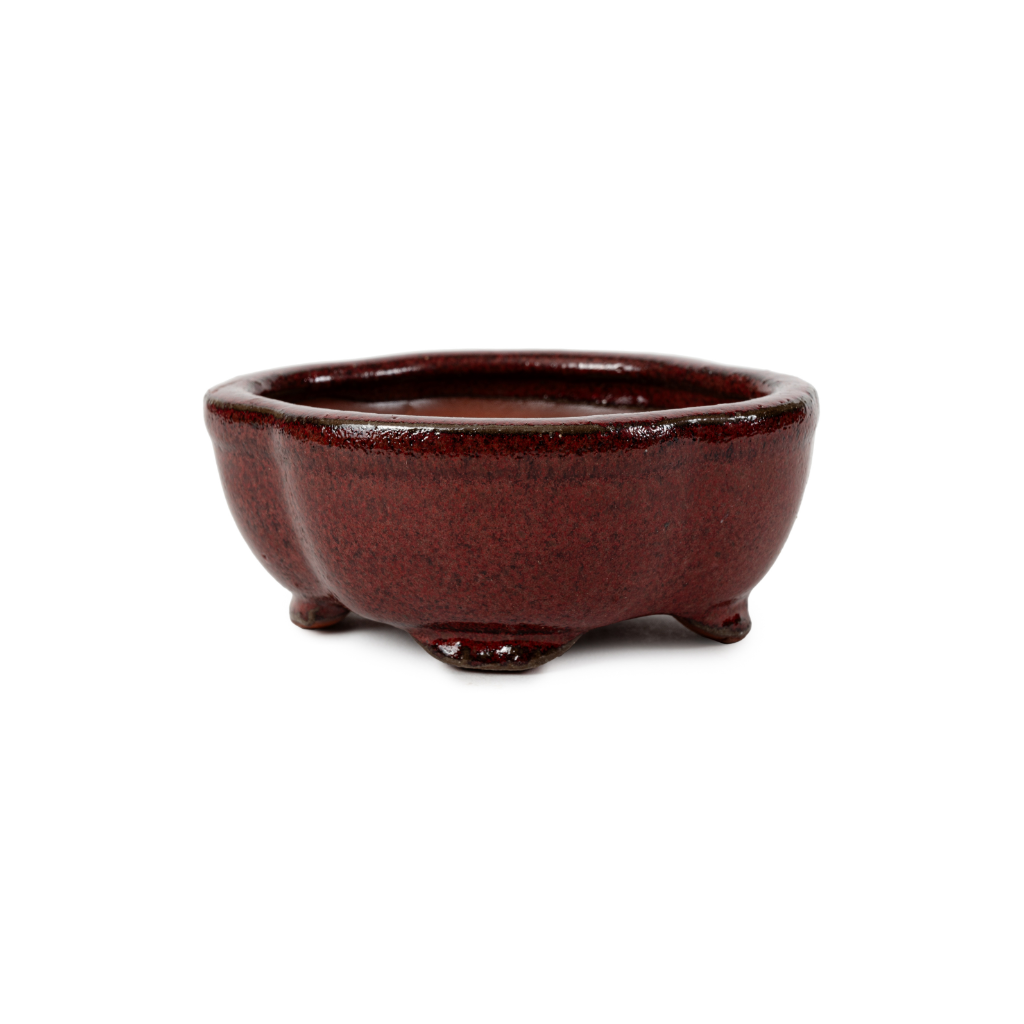 Assorted Glazed Bonsai Pots, 5" - Maroon-Red Floriated, 13 x 10 x 5cm - Pots