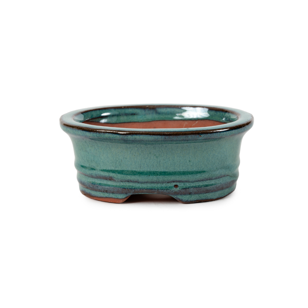 Assorted Glazed Bonsai Pots, 5" - Eagle Green Oval, 13 x 10 x 5cm - Pots