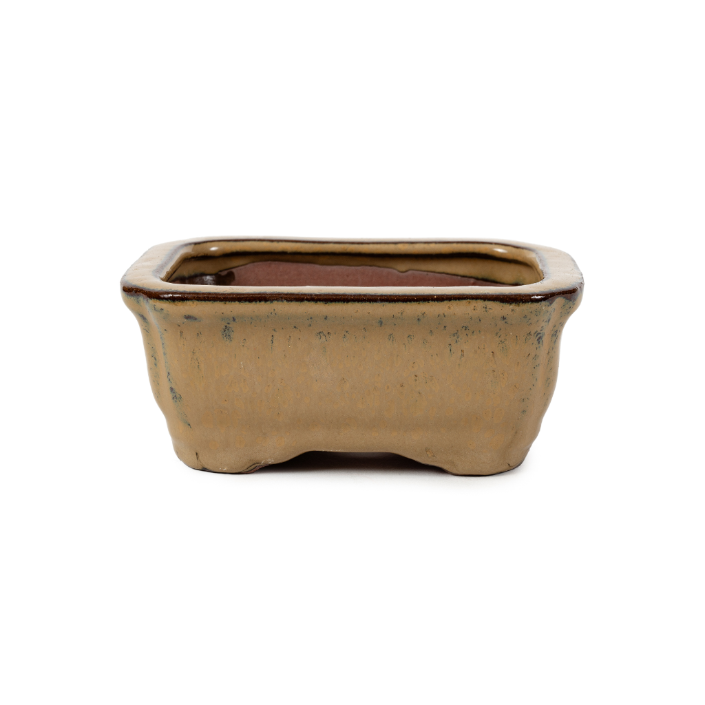 Assorted Glazed Bonsai Pots, 5" - Mustard Rectangle, 13 x 10 x 5cm - Pots