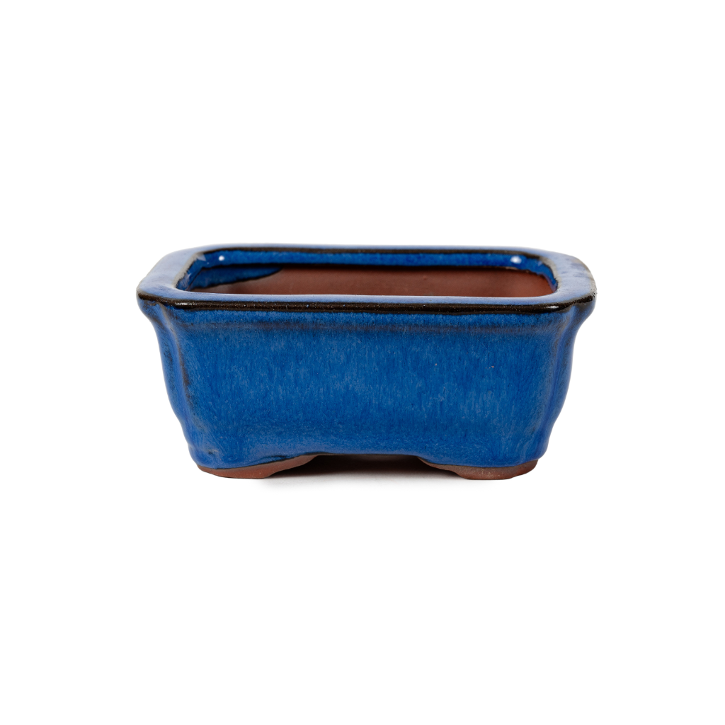 Assorted Glazed Bonsai Pots, 5" - Blue Rectangle, 13 x 10 x 5cm - Pots