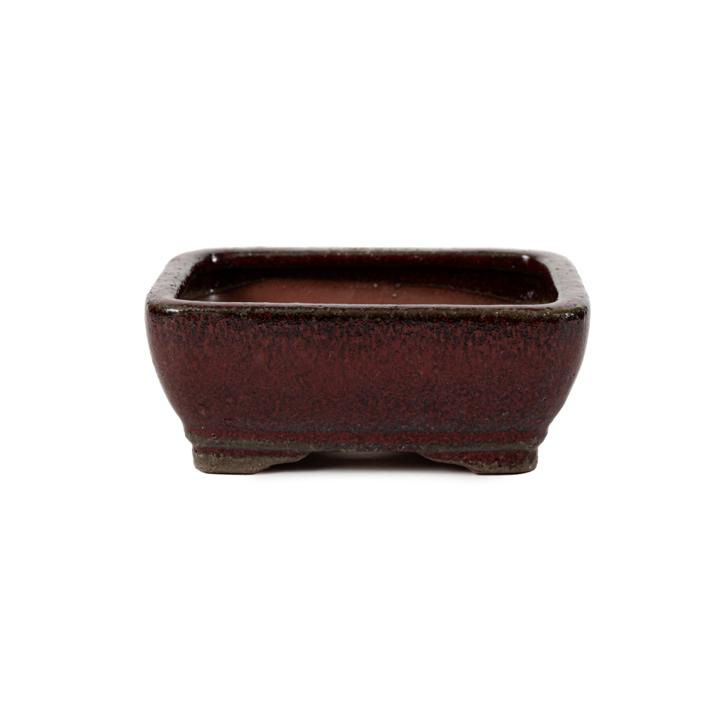 Assorted Glazed Bonsai Pots, 5" - Maroon-Red Rectangle, 13 x 10 x 5cm - Pots