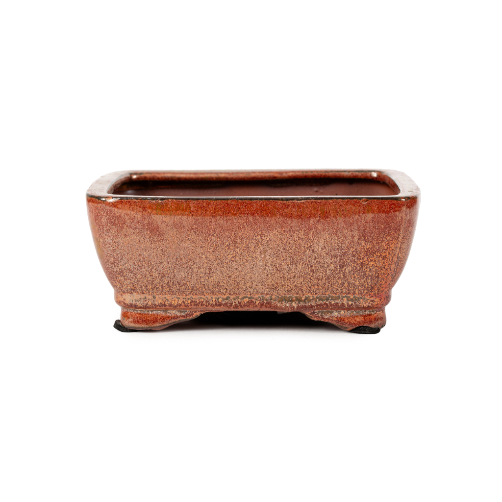 Assorted Glazed Bonsai Pots, 6" - Maroon Rectangle with inserted mesh and wire, 16 x 11 x 7cm - Pots