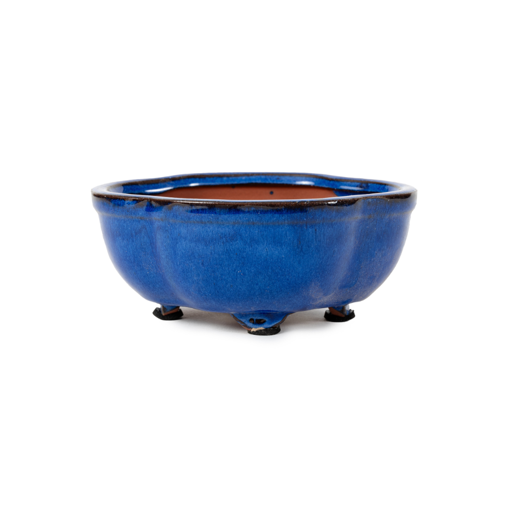 Assorted Glazed Bonsai Pots, 6" - Blue Floriated with inserted mesh and wire, 15 x 12 x 6cm - Pots