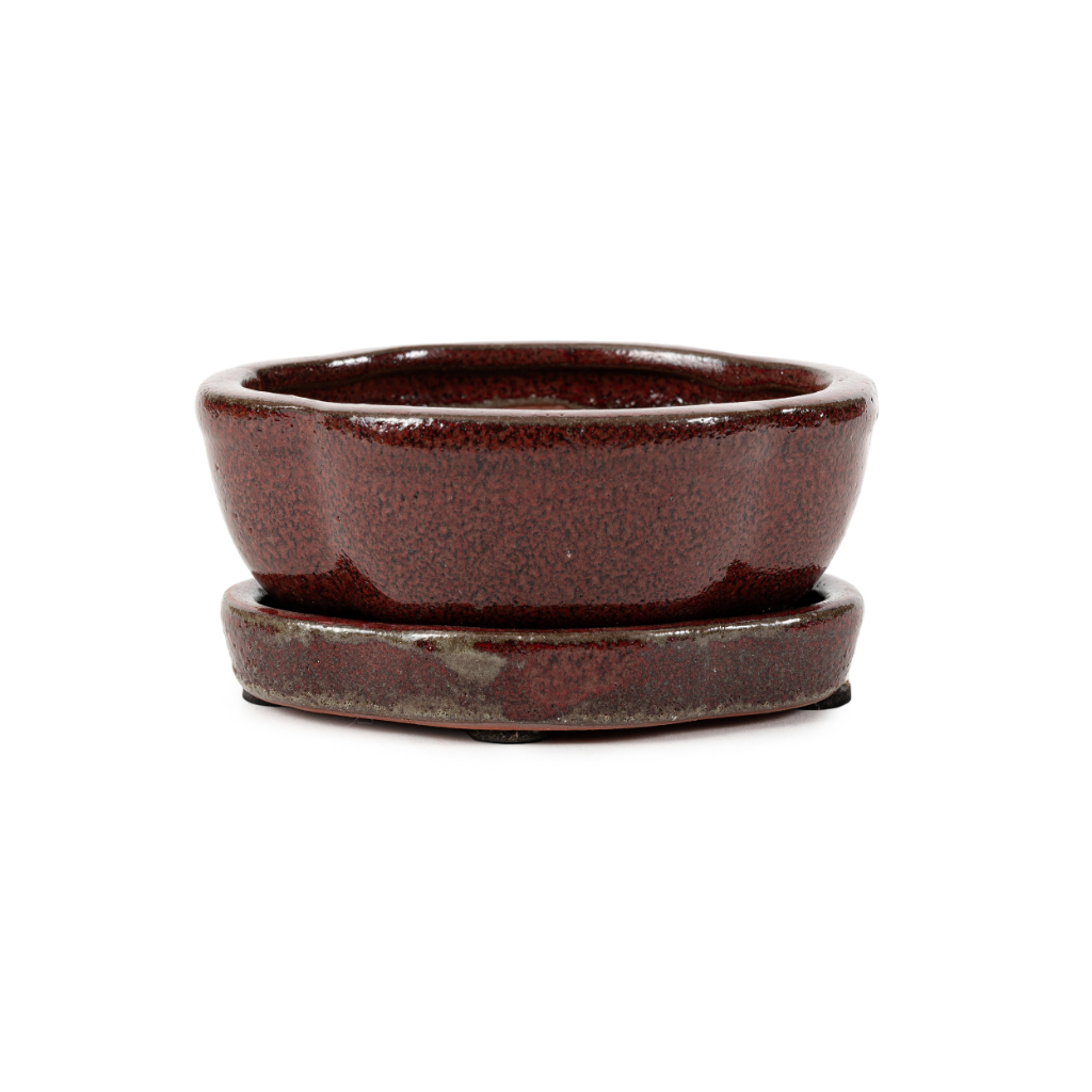 Assorted Glazed Bonsai Pots with Saucer, 5" by Pecenppot