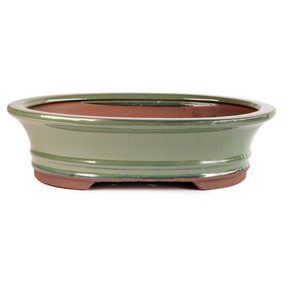 Assorted Glazed Bonsai Pots, 6" -  Green Oval with Lip, 16 x 13 x 5cm - Pots