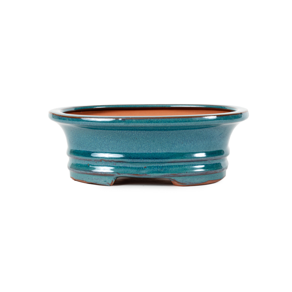 Assorted Glazed Bonsai Pots, 8" - Eagle Green Oval with Lip , 21 x 17 x 7cm - Pots
