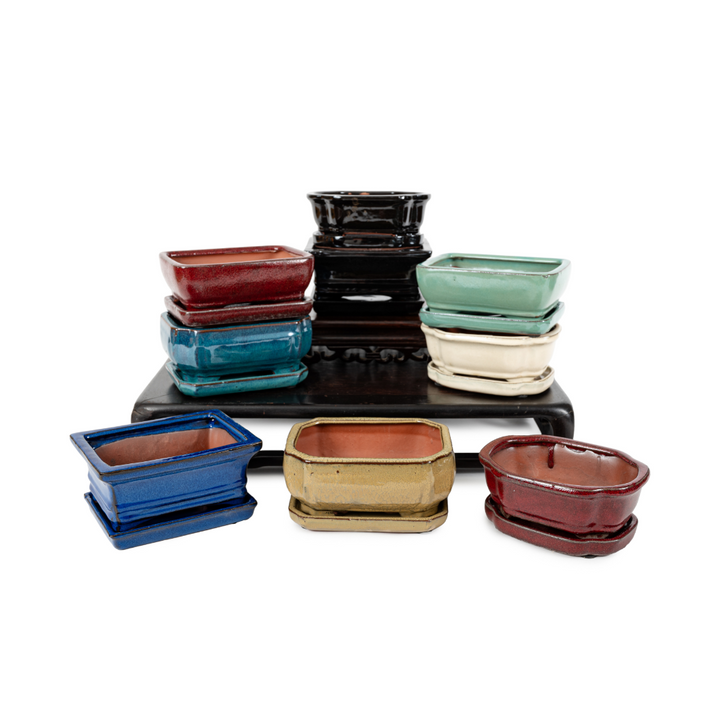 Assorted Glazed Bonsai Pots with Saucer, 6" by Pecenppot