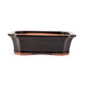 Assorted Glazed Bonsai Pots, 12" -  Dark Mottled Rectangular, 30 x 34 x 9cm - Pots