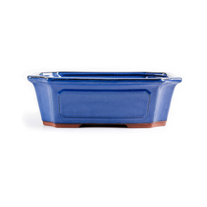 Assorted Glazed Bonsai Pots, 12" -  Blue Rectangular, 30 x 34 x 9cm - Pots