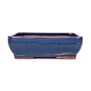 Assorted Glazed Bonsai Pots, 12" -  Blue Rounded Rectangle 30 x 24 x 9.5cm - Pots