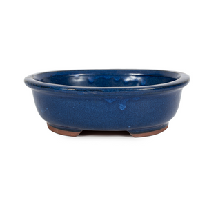 Assorted Glazed Bonsai Pots, 12" -  Blue Oval with Lip, 31 x 25 x 8cm - Pots