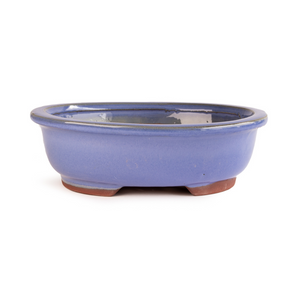 Assorted Glazed Bonsai Pots, 12" -  Light Blue Oval with Lip, 31 x 25 x 8cm - Pots