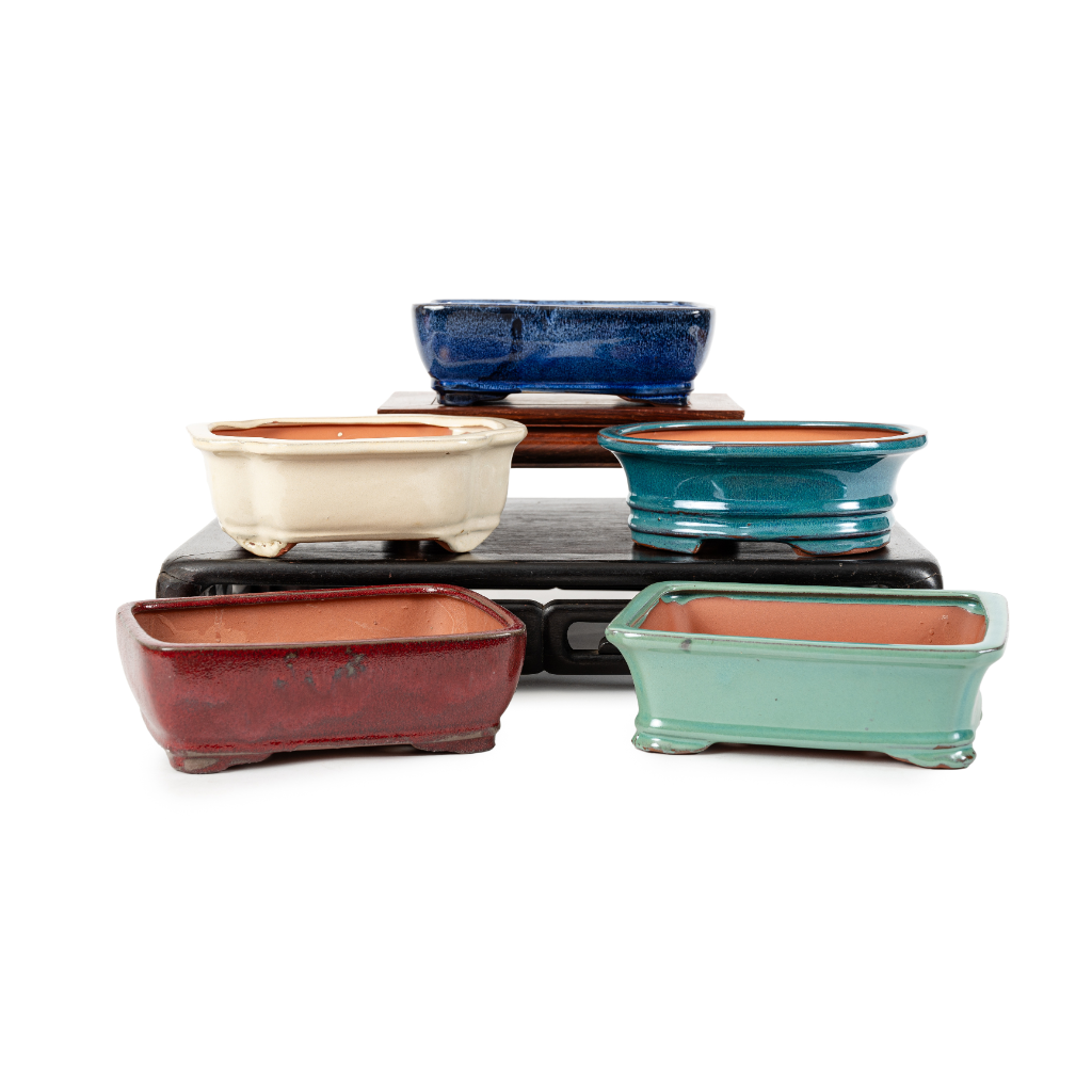 Assorted Glazed Bonsai Pots, 8" by Pecenppot