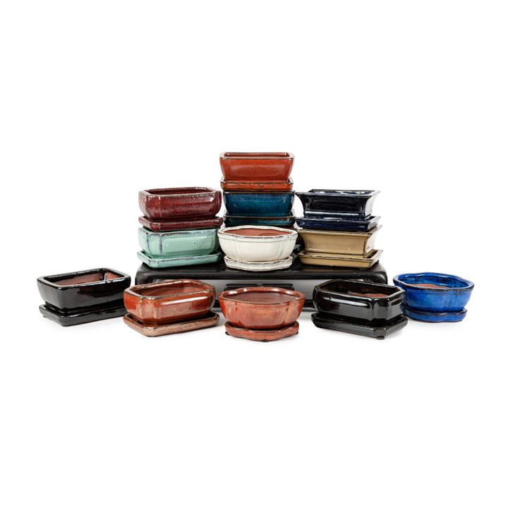 Assorted Glazed Bonsai Pots with Afixed Saucer, 6" by Pecenppot