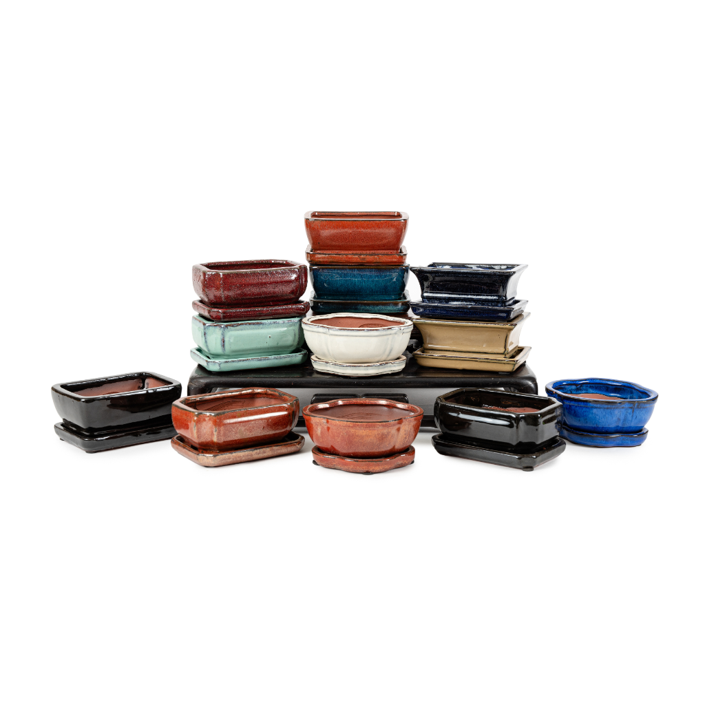 Assorted Glazed Bonsai Pots with Afixed Saucer, 6" by Pecenppot
