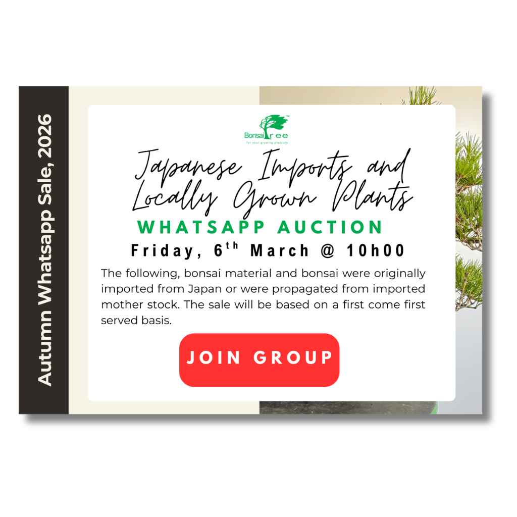 Flash Sale Catalog, Autumn 2026