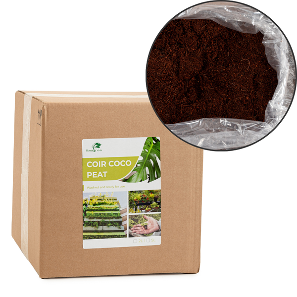 Coir Coco Peat - Premium Growing Medium for Plants - Bonsai Tree