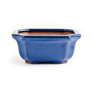 Assorted Glazed Bonsai Pots, 7" -  Blue-rectangular 16 x 14 x 6cm - Pots