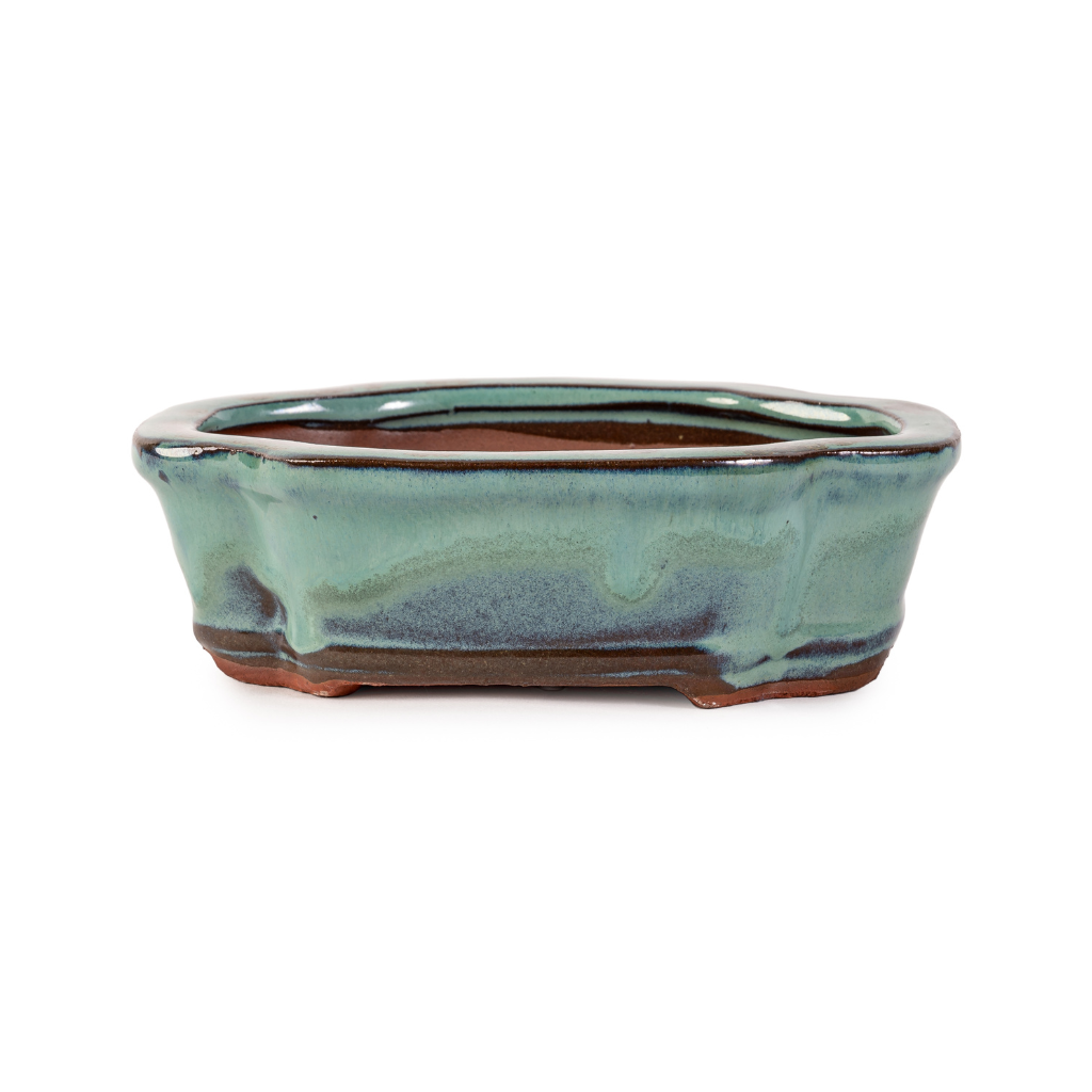 Assorted Glazed Bonsai Pots, 6" - Green Decorative Rectangular, 16.5 x 12 x 5cm - Pots