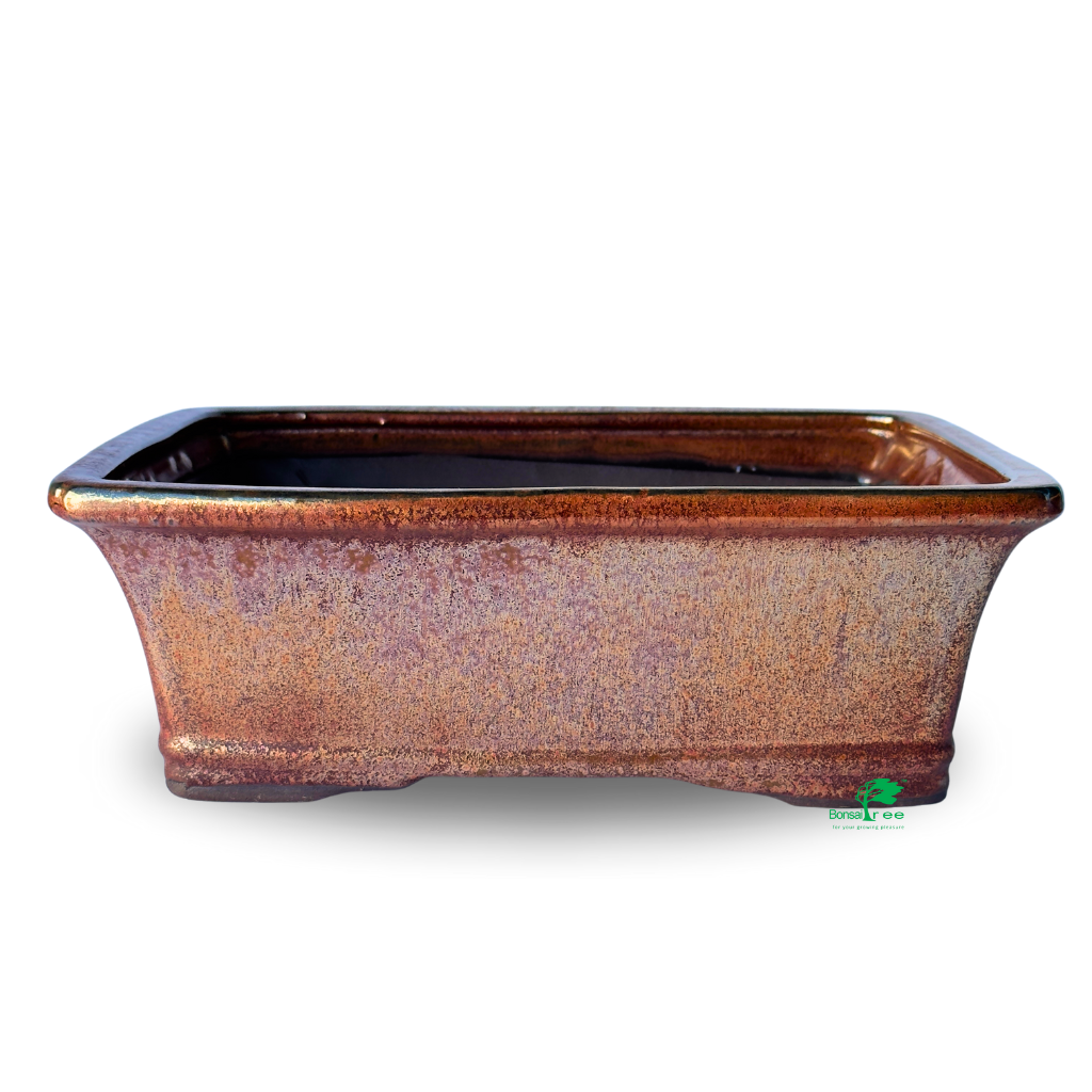 Assorted Glazed Bonsai Pots, 10" - Maroon Rectangles, 25 x 21 x 8.5cm - Pots