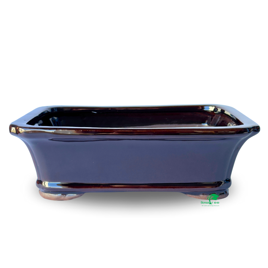Assorted Glazed Bonsai Pots, 10" - Black Rectangles, 27 x 21 x 8.5cm - Pots