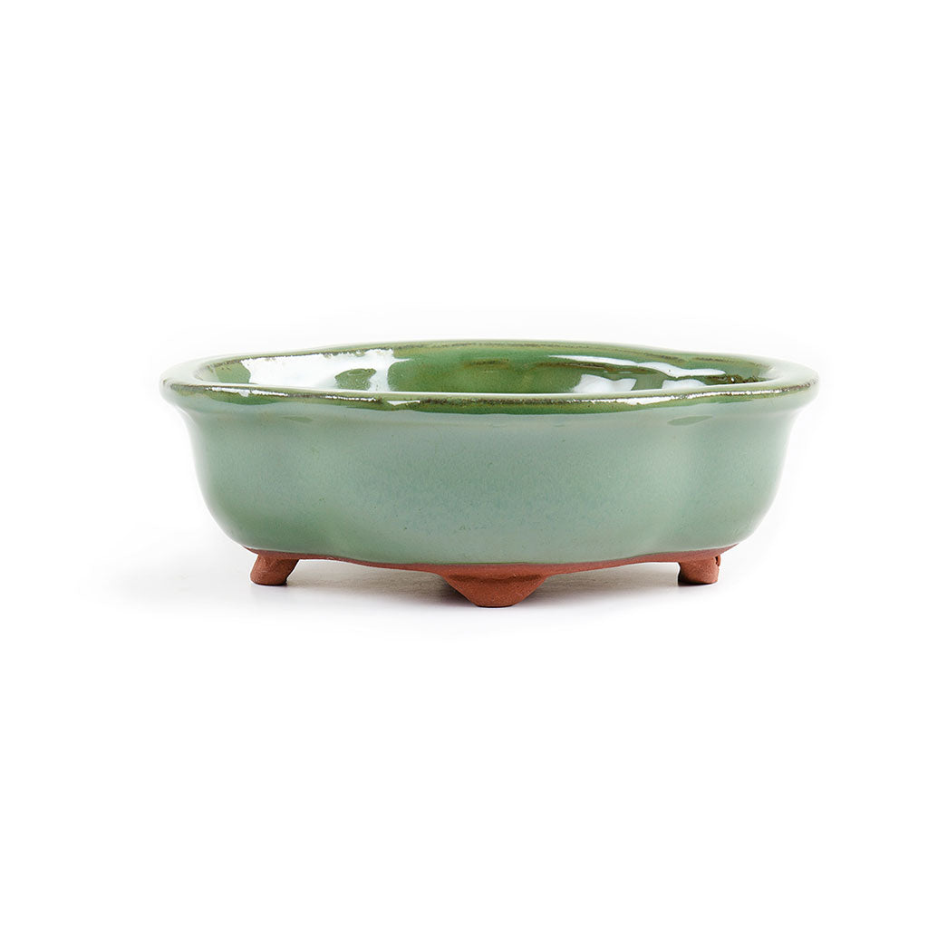 Assorted Glazed Bonsai Pots, 7" - Green Floriated 18 x 14 x 6cm - Pots