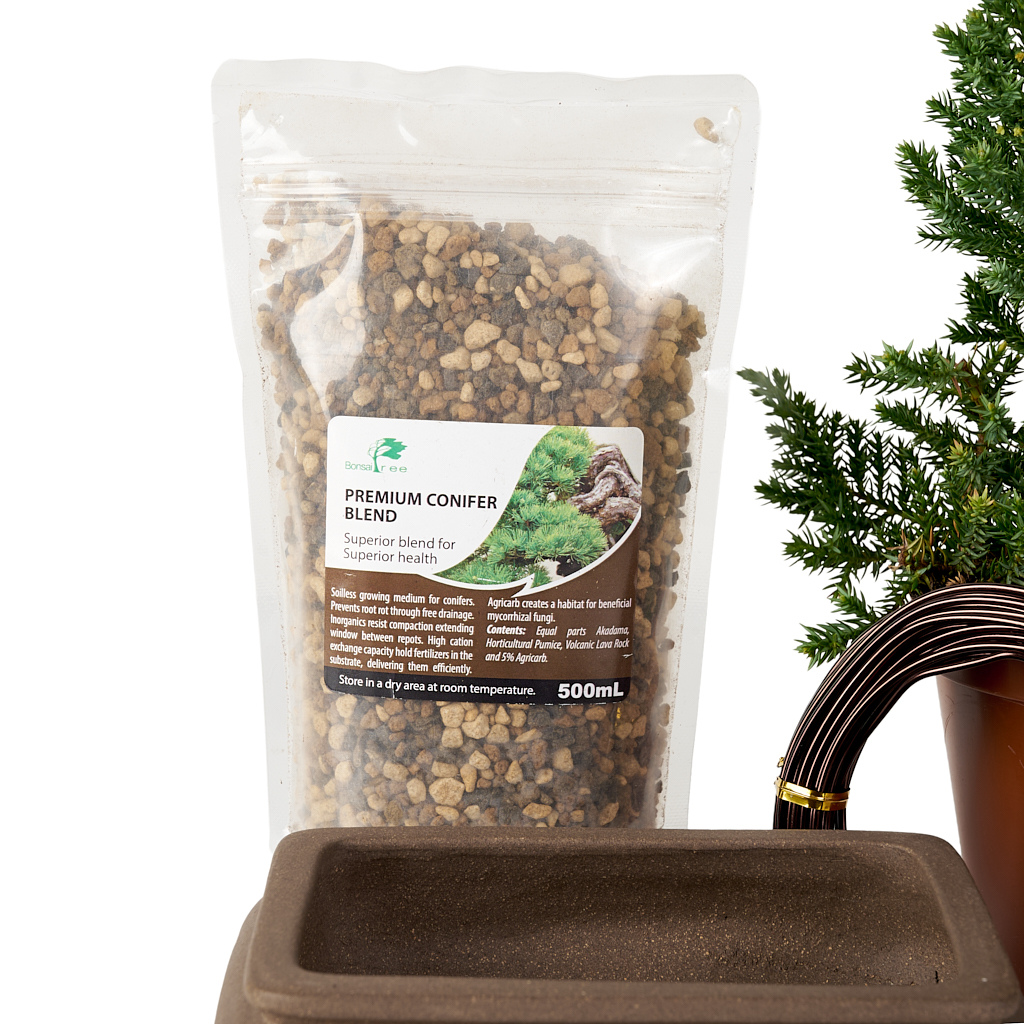 Apprentice Juniper Bundle by Bonsai Tree (Pty) Ltd.
