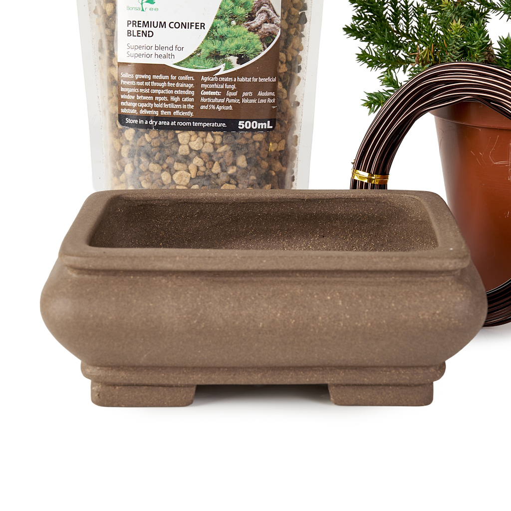 Apprentice Juniper Bundle by Bonsai Tree (Pty) Ltd.
